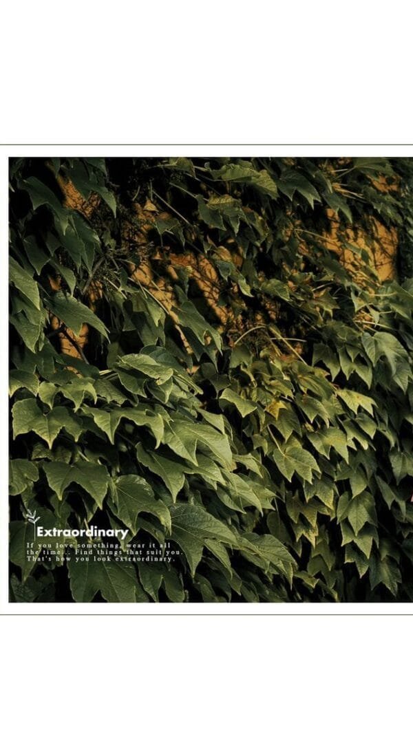 STYLEMAX SAJNI vol-1 Dress Material Wholesaler