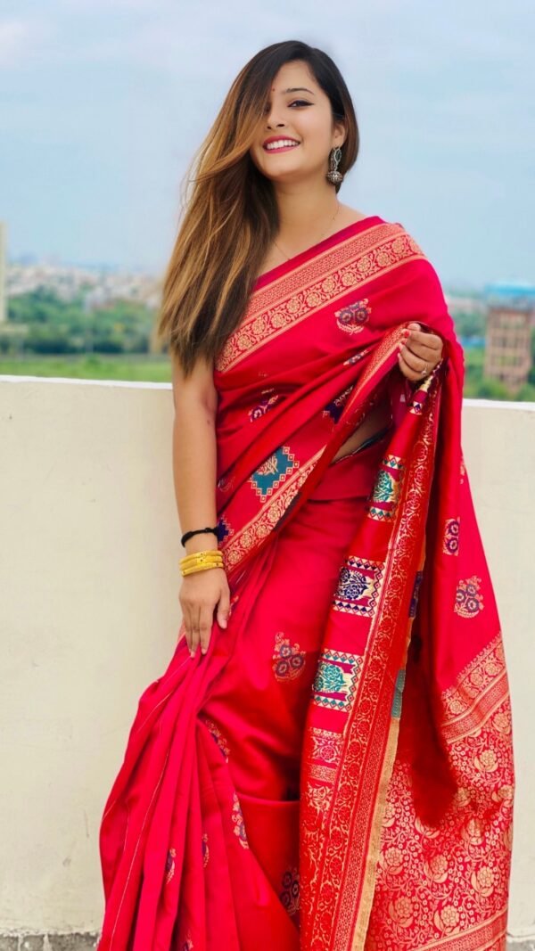 Kanchipuram Pure Silk Handloom Saree 02