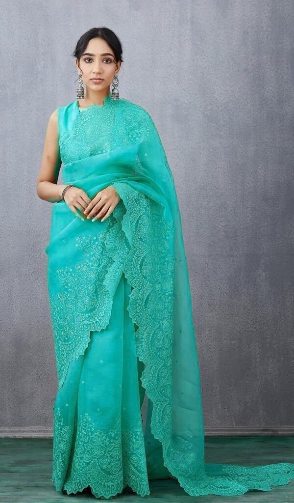 Pure Organza Silk Full Heavy Machine And Hand Embroidery Work 01