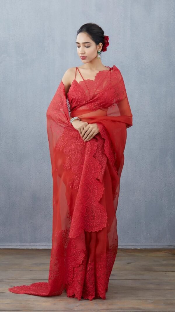 Pure Organza Silk Full Heavy Machine And Hand Embroidery Work 04