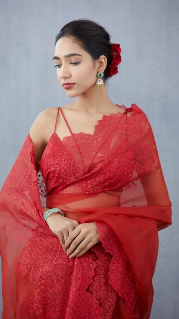 Pure Organza Silk Full Heavy Machine And Hand Embroidery Work 04