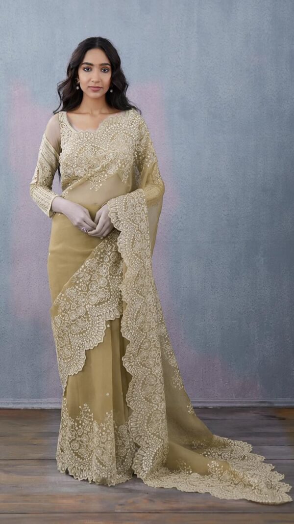 Pure Organza Silk Full Heavy Machine And Hand Embroidery Work 05