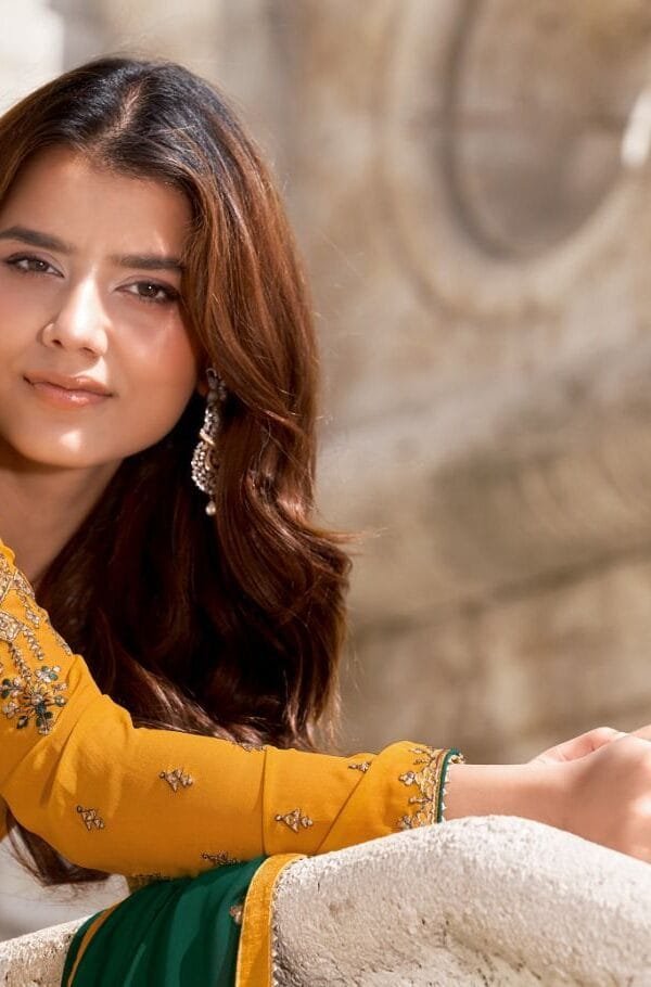 Royal Silk Vol-12 Tanishk Catalog Wholesalers