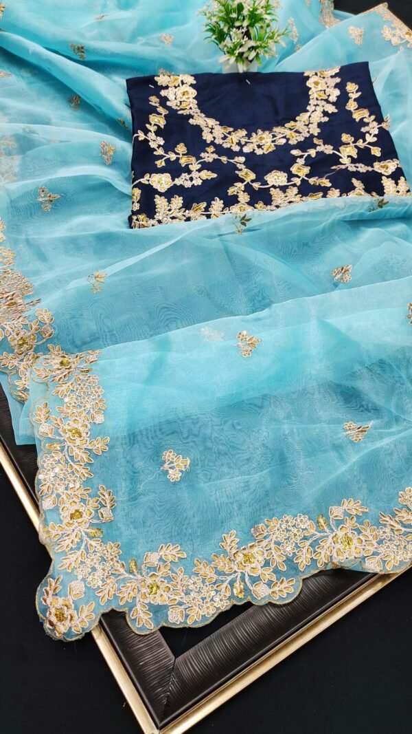 Soft Organza Silk Saree with Dori Sequence Work 01
