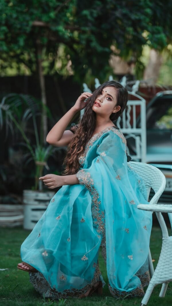 Soft Organza Silk Saree with Dori Sequence Work 01