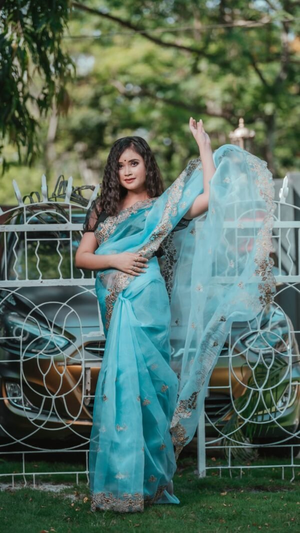 Soft Organza Silk Saree with Dori Sequence Work 01