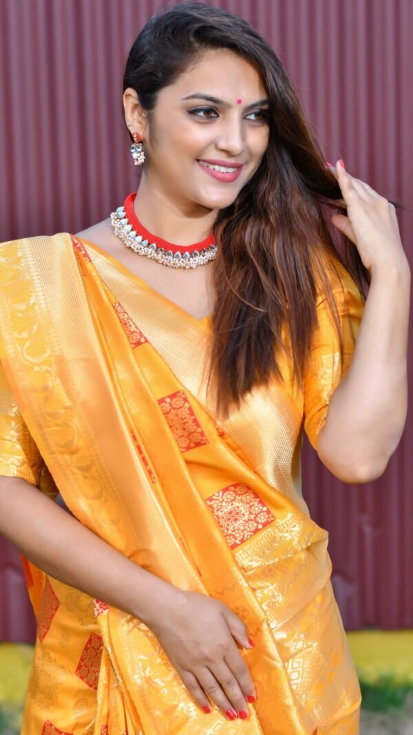 Soft Silk Zari Weaving Saree 02