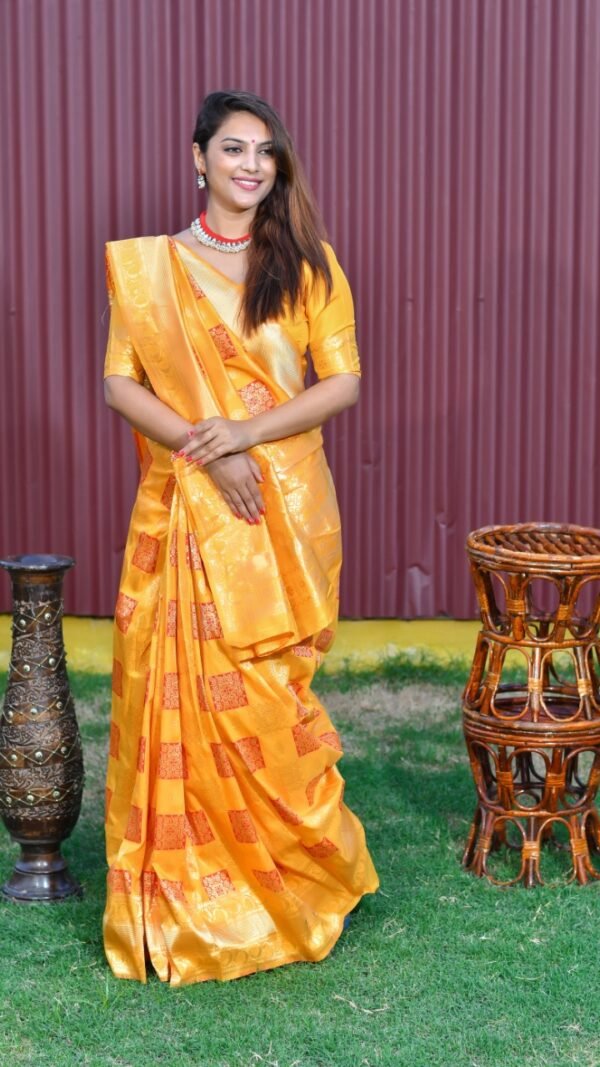 Soft Silk Zari Weaving Saree 02