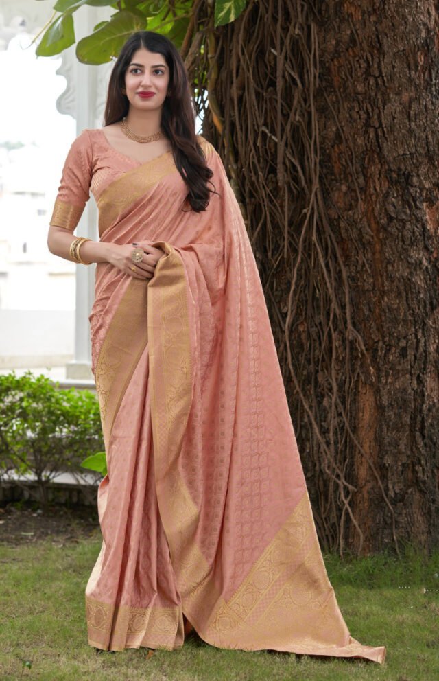 Exclusive Soft Satin Silk Saree 08