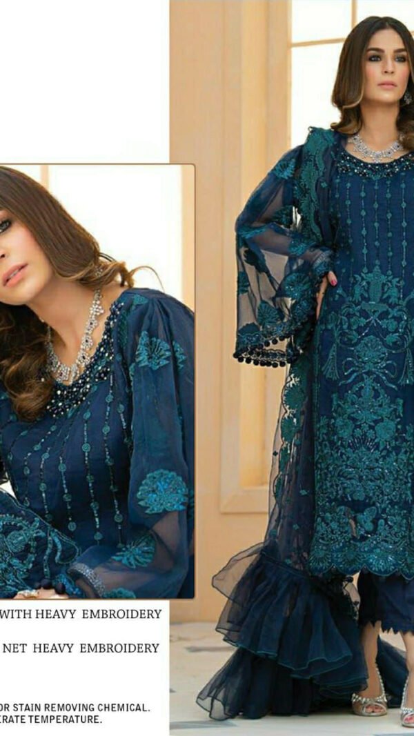 Butterfly Net with Heavy Embroidery Pakistani Suits 02