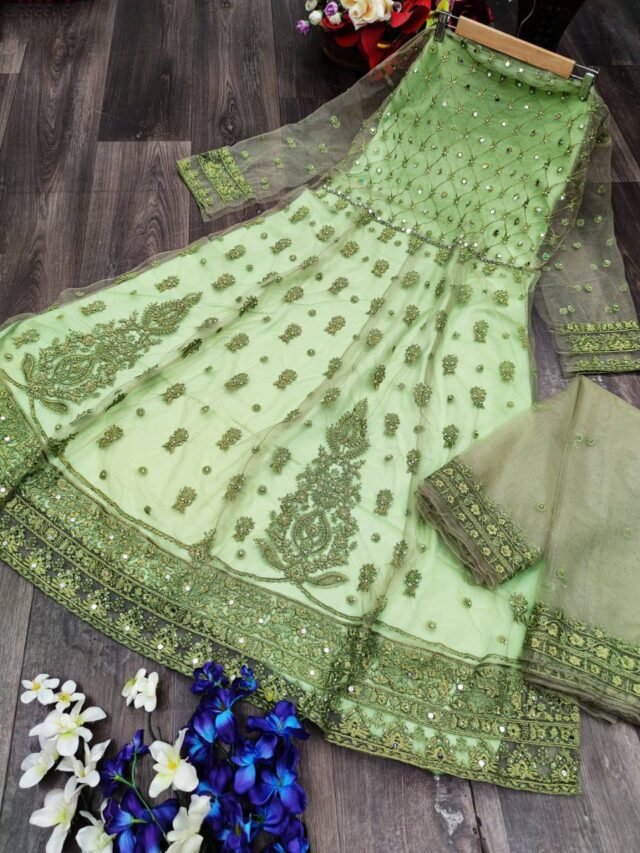 Butterfly net with Heavy Embroidery and Mirror work Suits 06