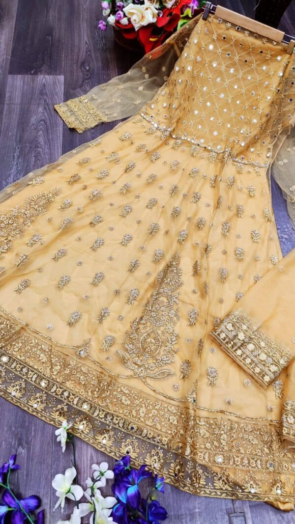 Butterfly net with Heavy Embroidery and Mirror work Suits 11