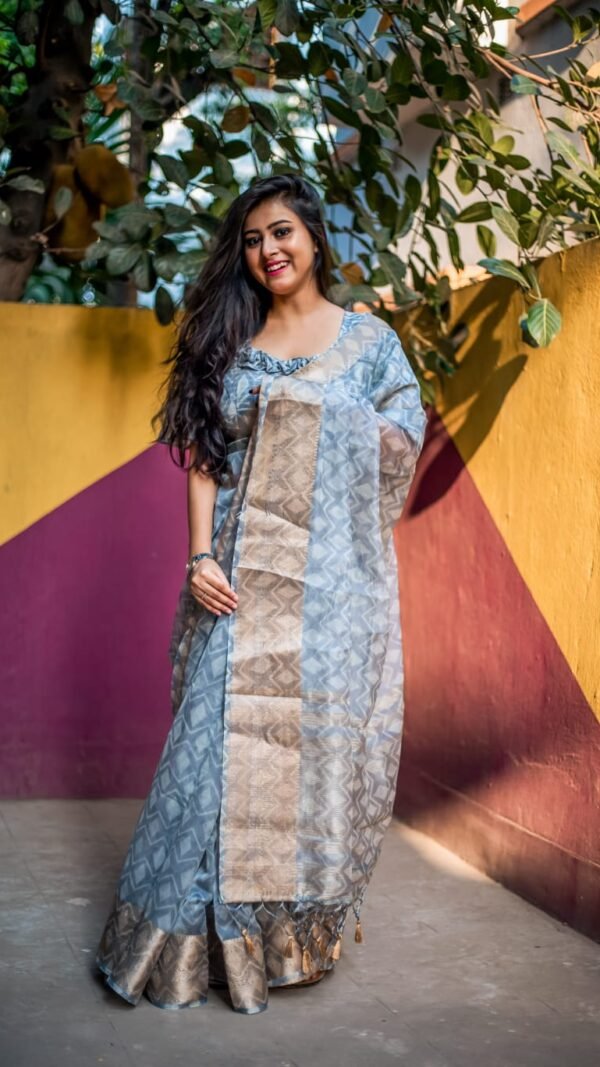 Organza Silk Digital Printed Saree 03