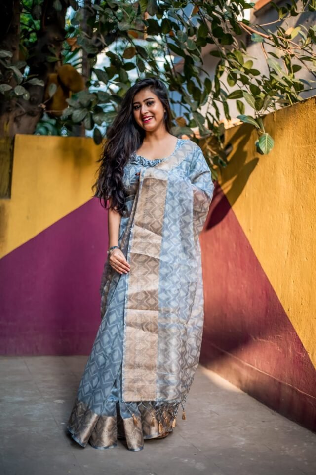 Organza Silk Digital Printed Saree 01