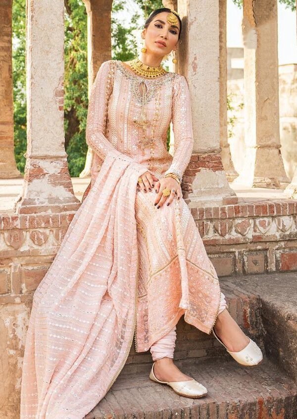 Pakistani Fox Georgette WIth Embroidery Work