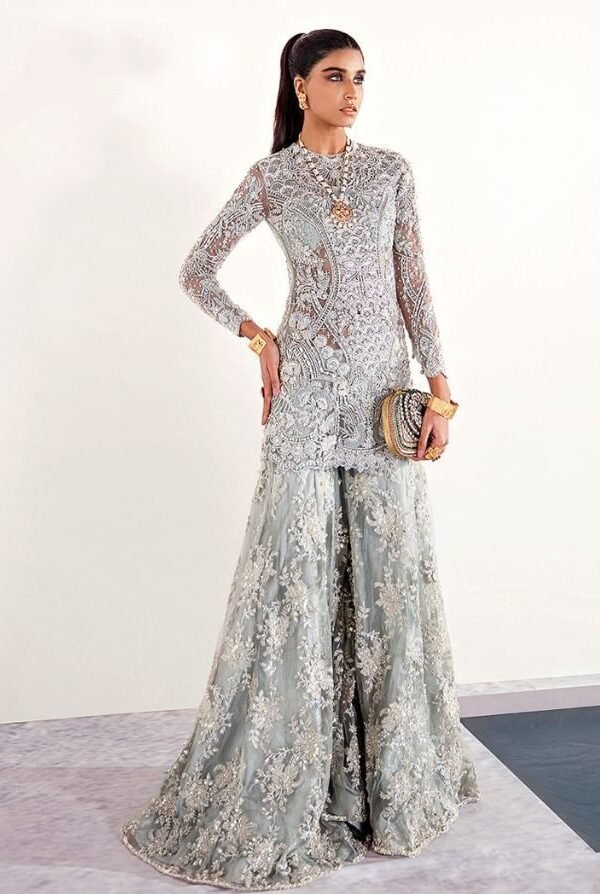 Pakistani Suits Butterfly Net Heavy Embroidered with Moti Work 01