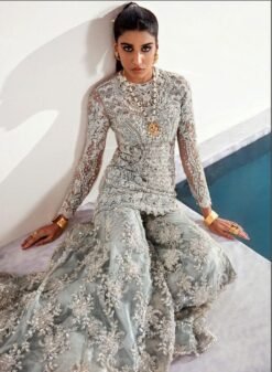 Pakistani Suits Butterfly Net Heavy Embroidered with Moti Work 01