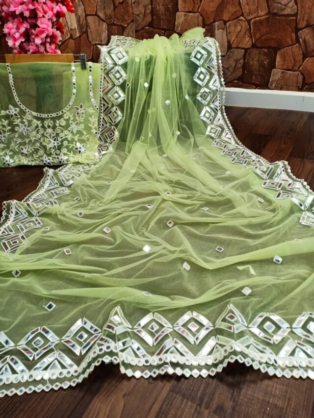 Premium Net with Heavy Embroidery Mirror Work Saree 04