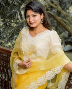 Pure Organza Silk Saree with Lucknowi White Flower 02