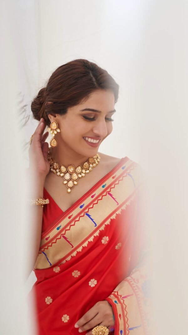 Pure Silk Paithani Beautiful Designs Saree 04