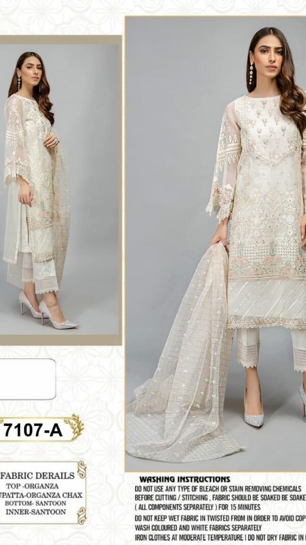 Pakistani Suits Organza with Embroidery Work 02