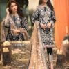 Heavy Fox Georgette with Embroidery Work 01
