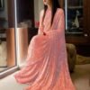 Soft Silk Color Work Weightless Saree 04