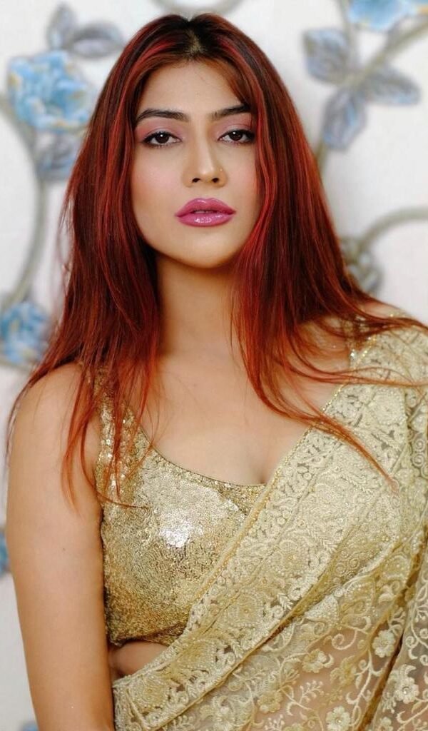 Designer Saree Net Fabric with Full heavy Embroidery Work