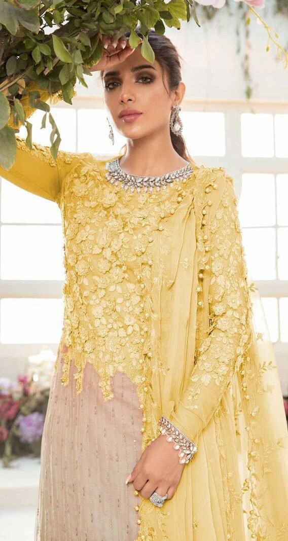Butterfly Net Heavy Embroidered Pakistani Suits 02