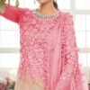 Butterfly Net Heavy Embroidered Pakistani Suits 04