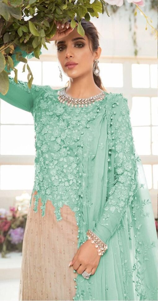 Butterfly Net Heavy Embroidered Pakistani Suits 05
