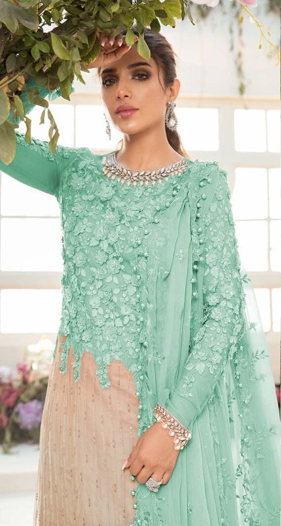 Butterfly Net Heavy Embroidered Pakistani Suits 05