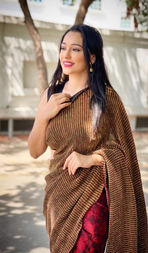 Pure Metallic Saree with Reversible Two Side Cocktail Fabric 02