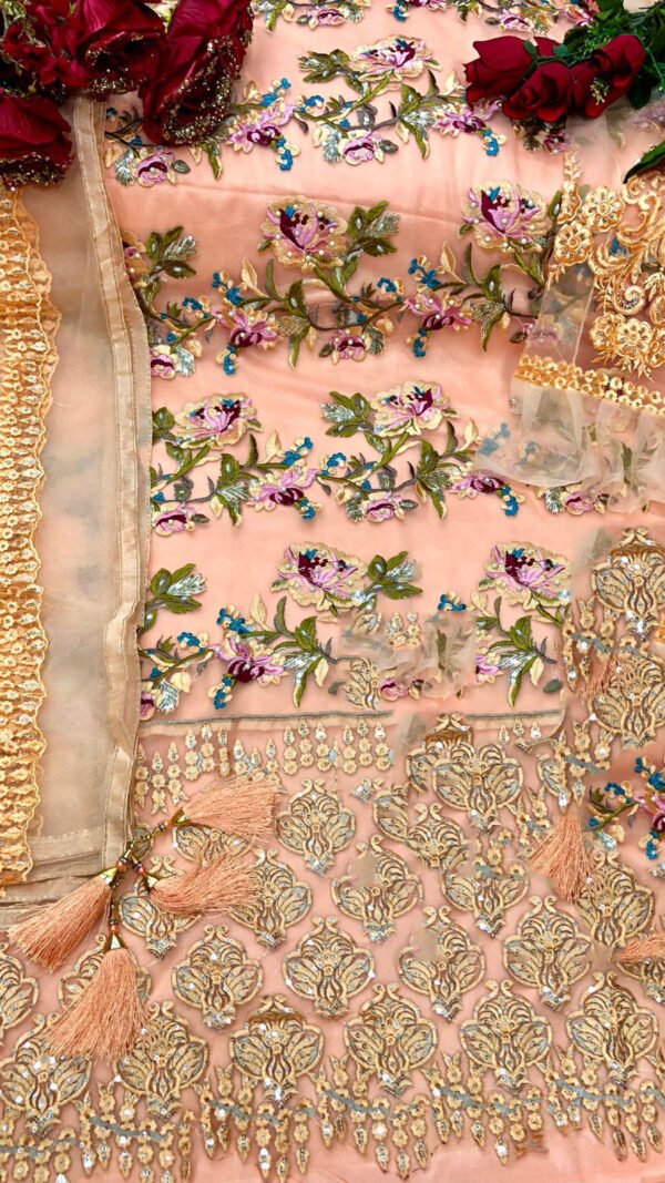 Exclusive Butterfly Nett with Heavy Embroidery and Sequance Work 03