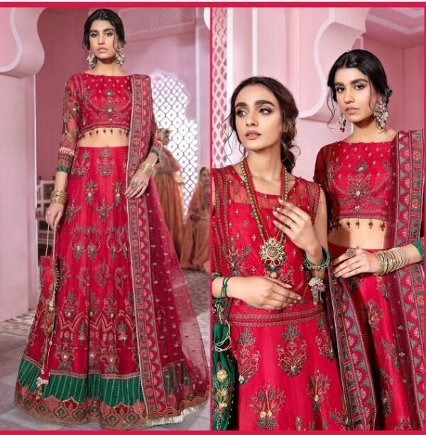 Fox Georgette with Butterfly Net Pakistani Suits 05