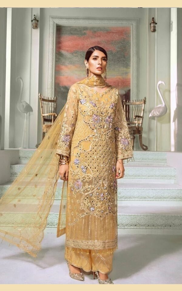 Heavy Embroidery Pakistani with Mirror Work Suits