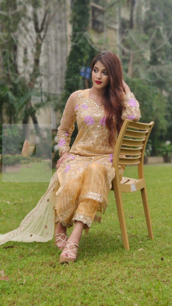 Heavy Embroidery Pakistani with Mirror Work Suits