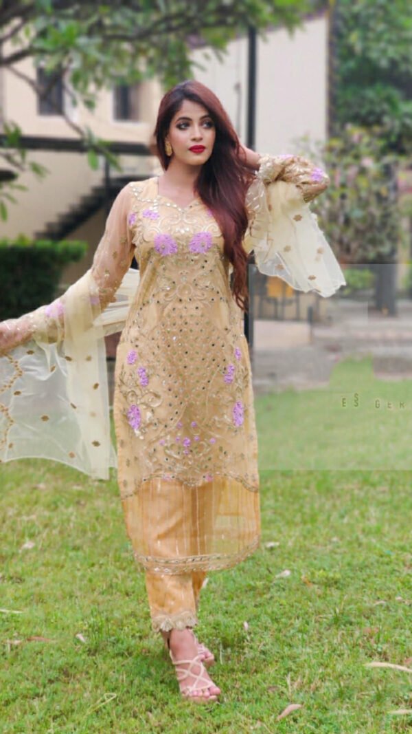 Heavy Embroidery Pakistani with Mirror Work Suits