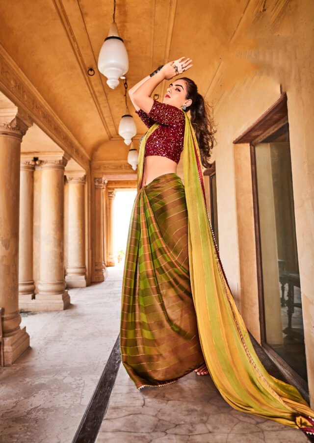 Rainbow Satin Patta With Fancy Lace Saree 08