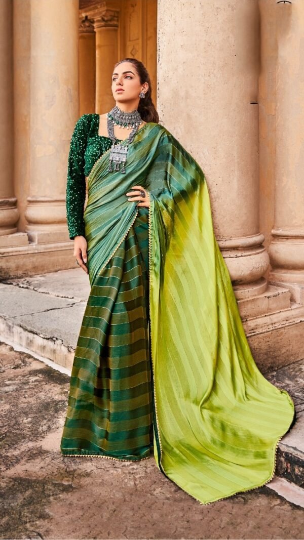 Rainbow Satin Patta With Fancy Lace Saree 10