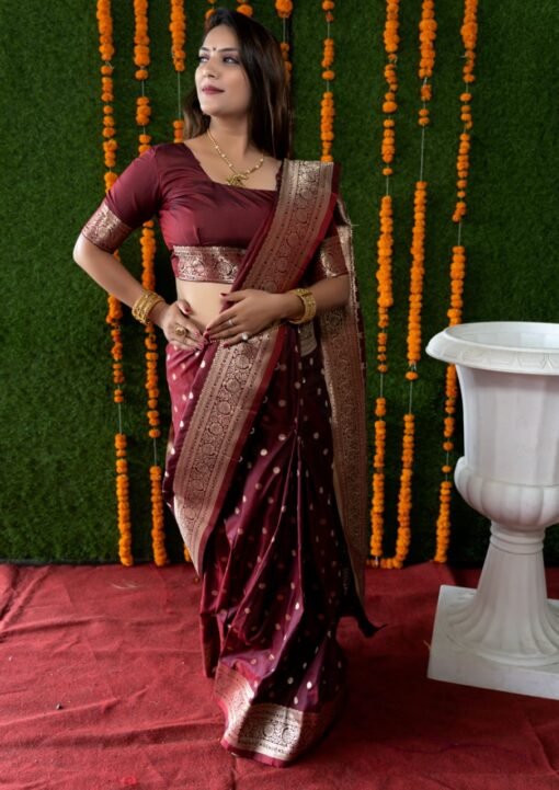 Kanchipuram Pure Silk Handloom Saree with Pure Jari 02