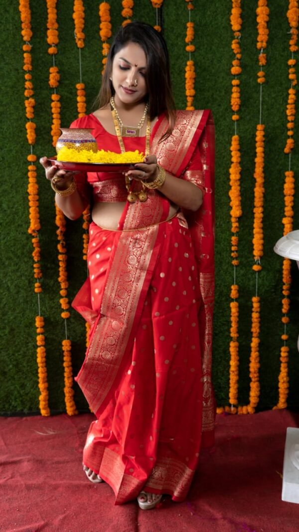 Kanchipuram Pure Silk Handloom Saree with Pure Jari 06