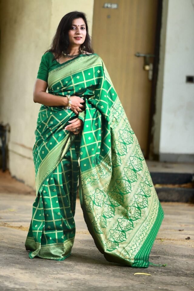 Rich Soft Silk Saree with Heavy Jacquard Border 03