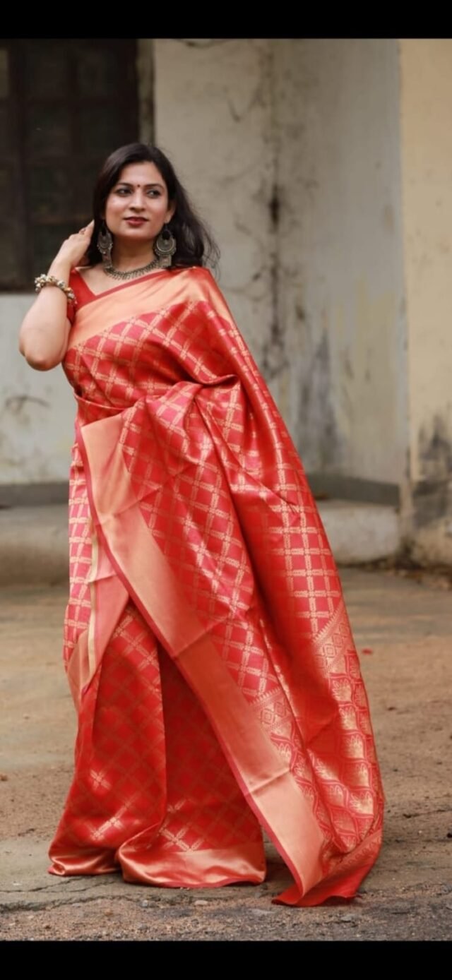 Rich Soft Silk Saree with Heavy Jacquard Border 04