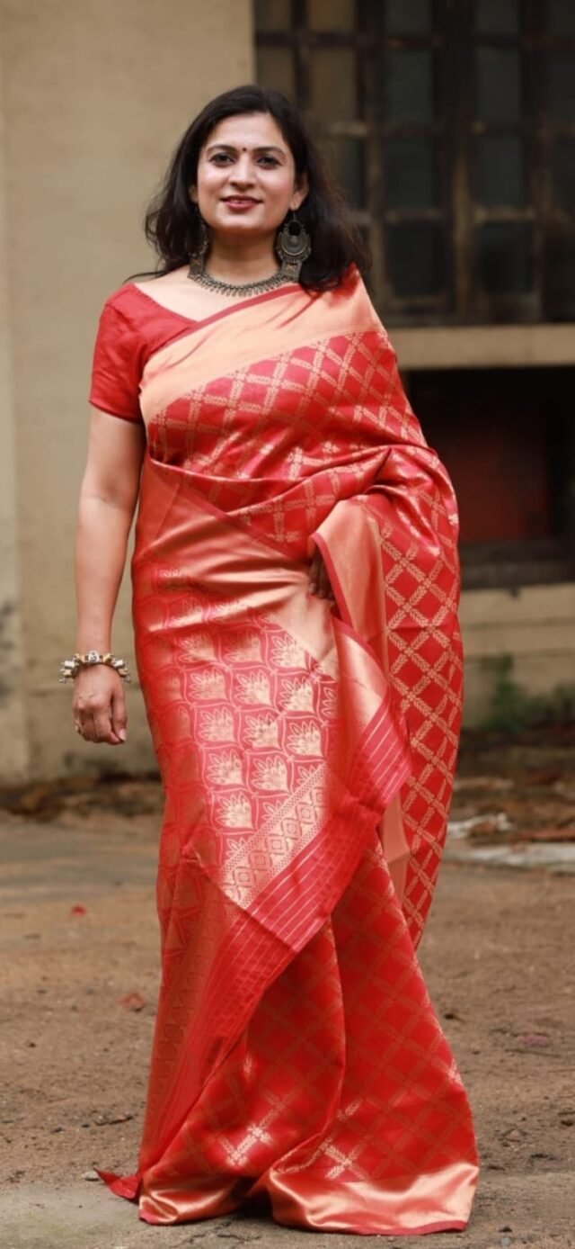 Rich Soft Silk Saree with Heavy Jacquard Border 04