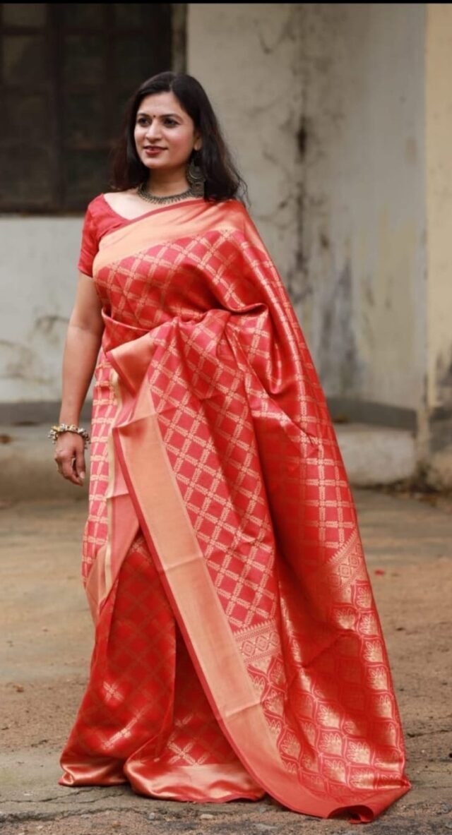 Rich Soft Silk Saree with Heavy Jacquard Border 04