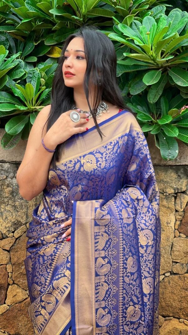 Kanjivaram Weaving Silk Saree Collection 01