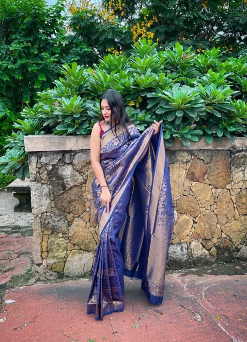 Kanjivaram Weaving Silk Saree Collection 01