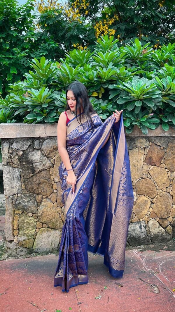 Kanjivaram Weaving Silk Saree Collection 01