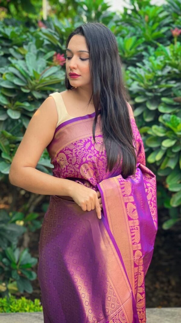 Kanjivaram Weaving Silk Saree Collection 05